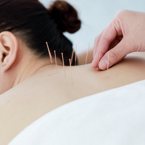 PerfectTouch Facial