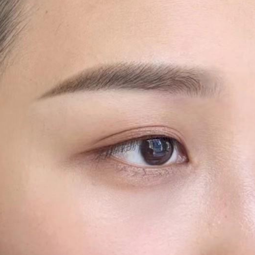 韓式霧眉    (Powder Fill)